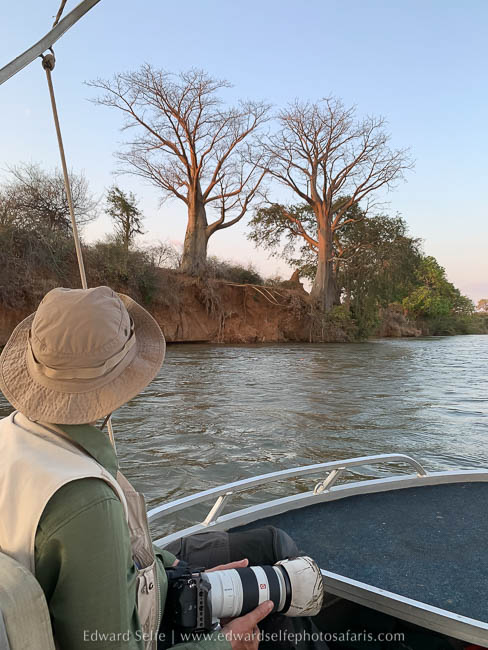 Wildlife image from a photo safari with edward selfe.