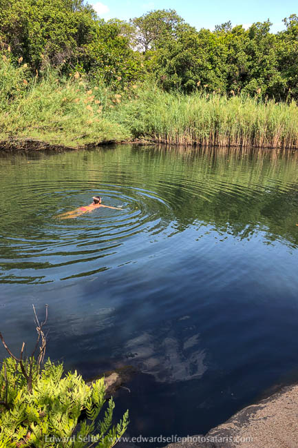 Wildlife image from photo safari with edward selfe.