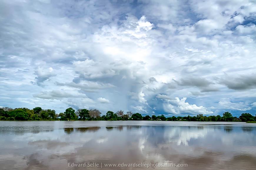 Wildlife image from the flooded luangwa by edward selfe.