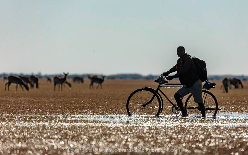 Wildlife image from a photo safari with edward selfe.