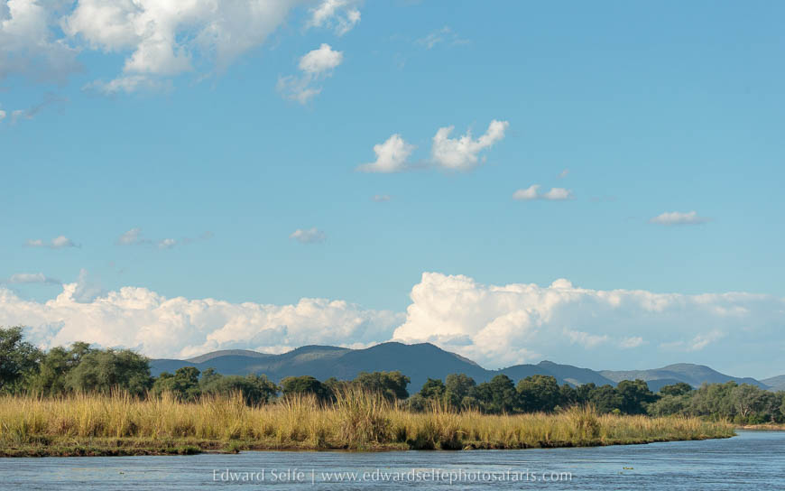 Wildlife image from photo safari with edward selfe in lower zambezi national park.