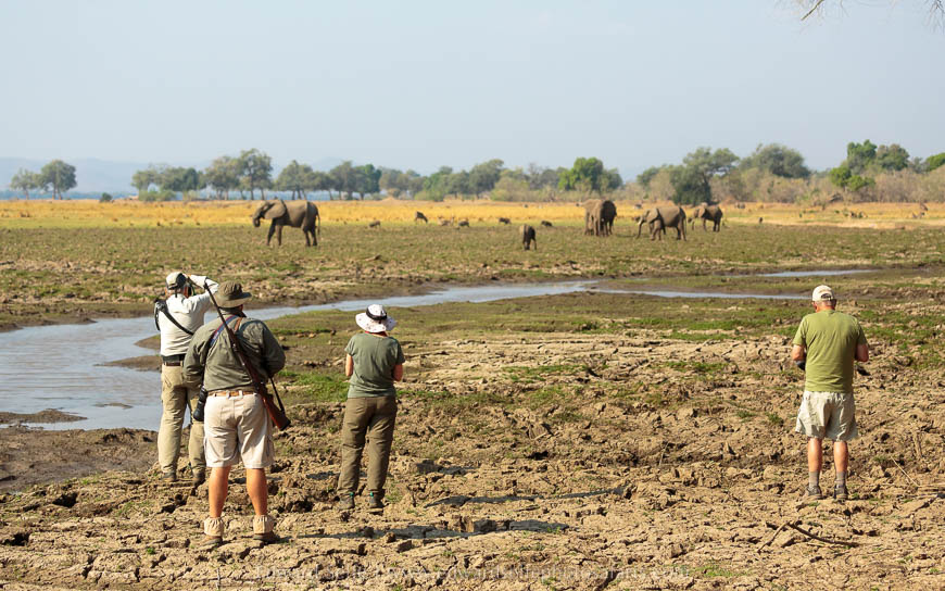Wildlife image from photo safari with edward selfe safaris.