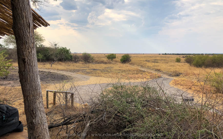 Wildlife image from photo safari with edward selfe safaris.