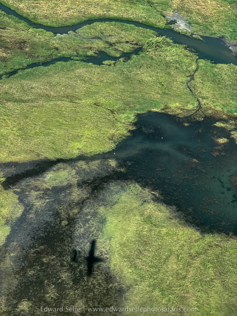 Wildlife image from a photo safari with edward selfe.