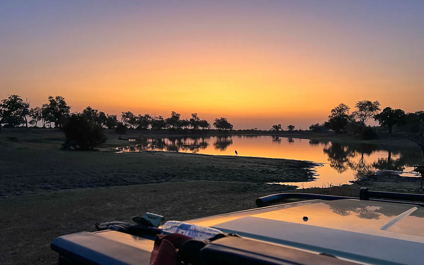 Images of wildlife from photo safari with edward selfe in the nsefu sector.
