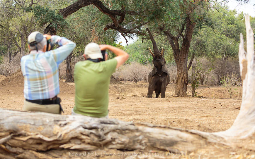 Wildlife image from photo safari with edward selfe safaris.