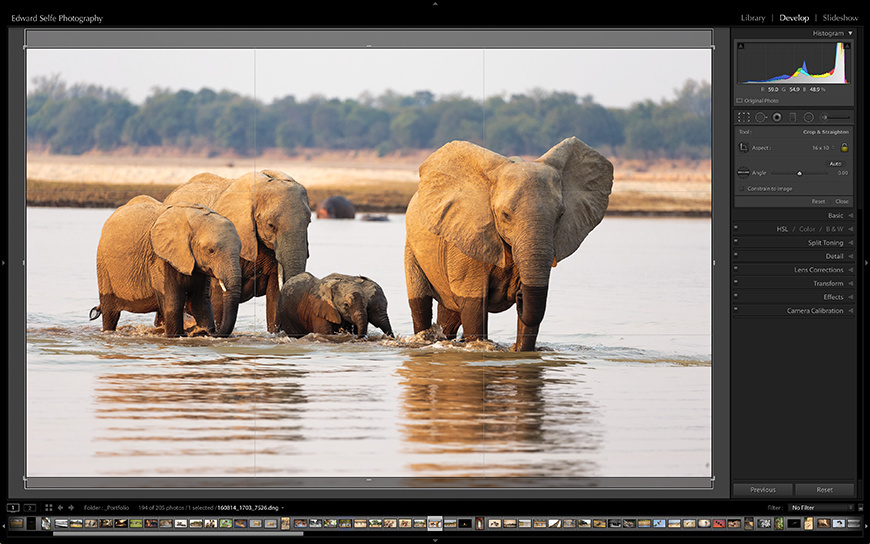 Applying a 16:10 crop to an image of elephants crossing the Luangwa River.