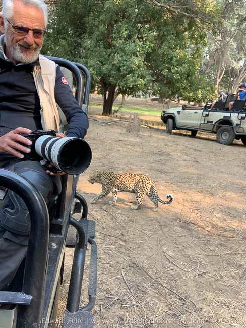 Wildlife image from a photo safari with edward selfe.