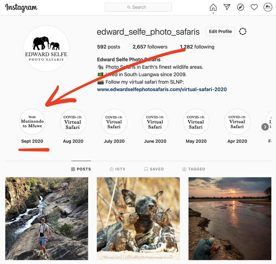 Wildlife image from photo safari with edward selfe.