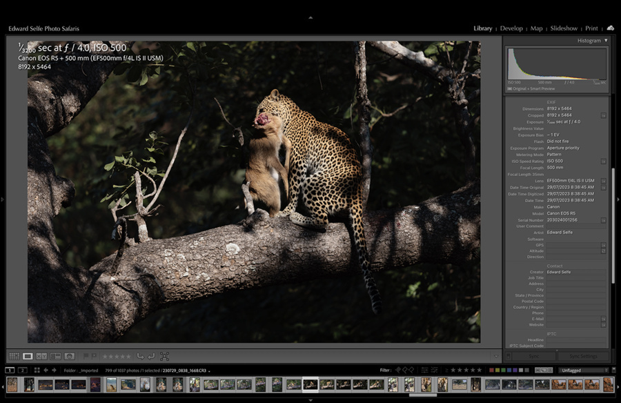 Wildlife image by edward selfe showing the concept of shoot to right.