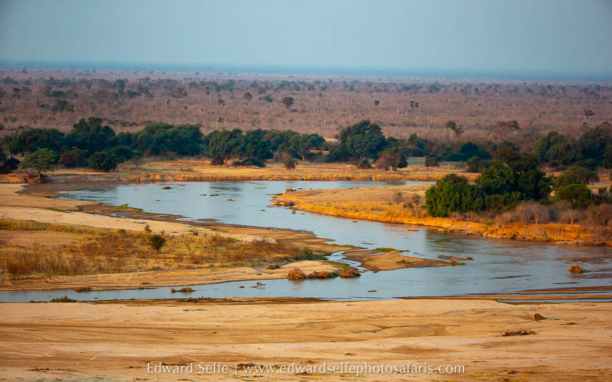 Wildlife image from photo safari with edward selfe.