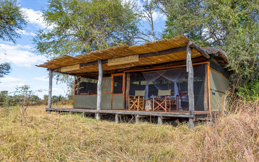 Wildlife image from photo safari with edward selfe safaris.