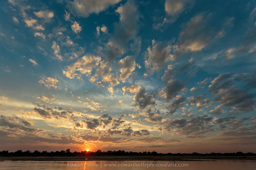 Wildlife image from photo safari with edward selfe in south luangwa national park.