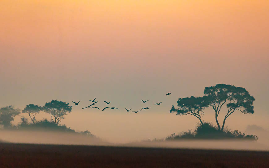 Images of wildlife from photo safari with edward selfe in zambia.