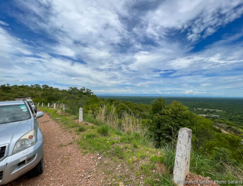 Life in the Bush: Visiting Zimbabwe & Mozambique