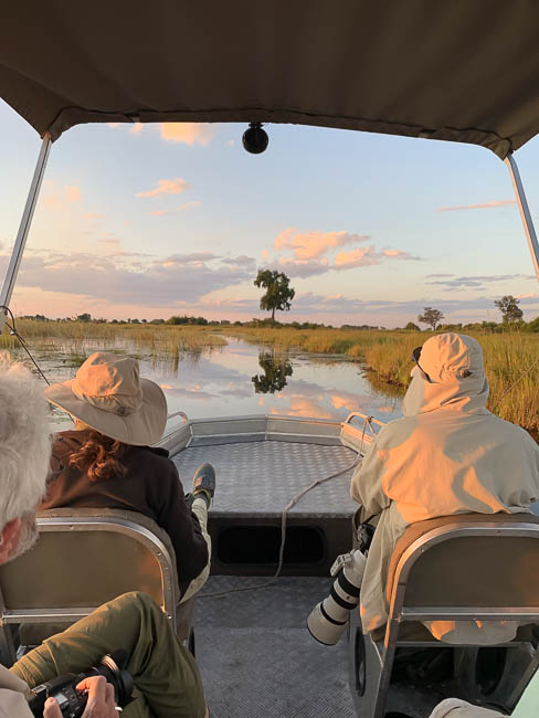 Images of wildlife from photo safari with edward selfe