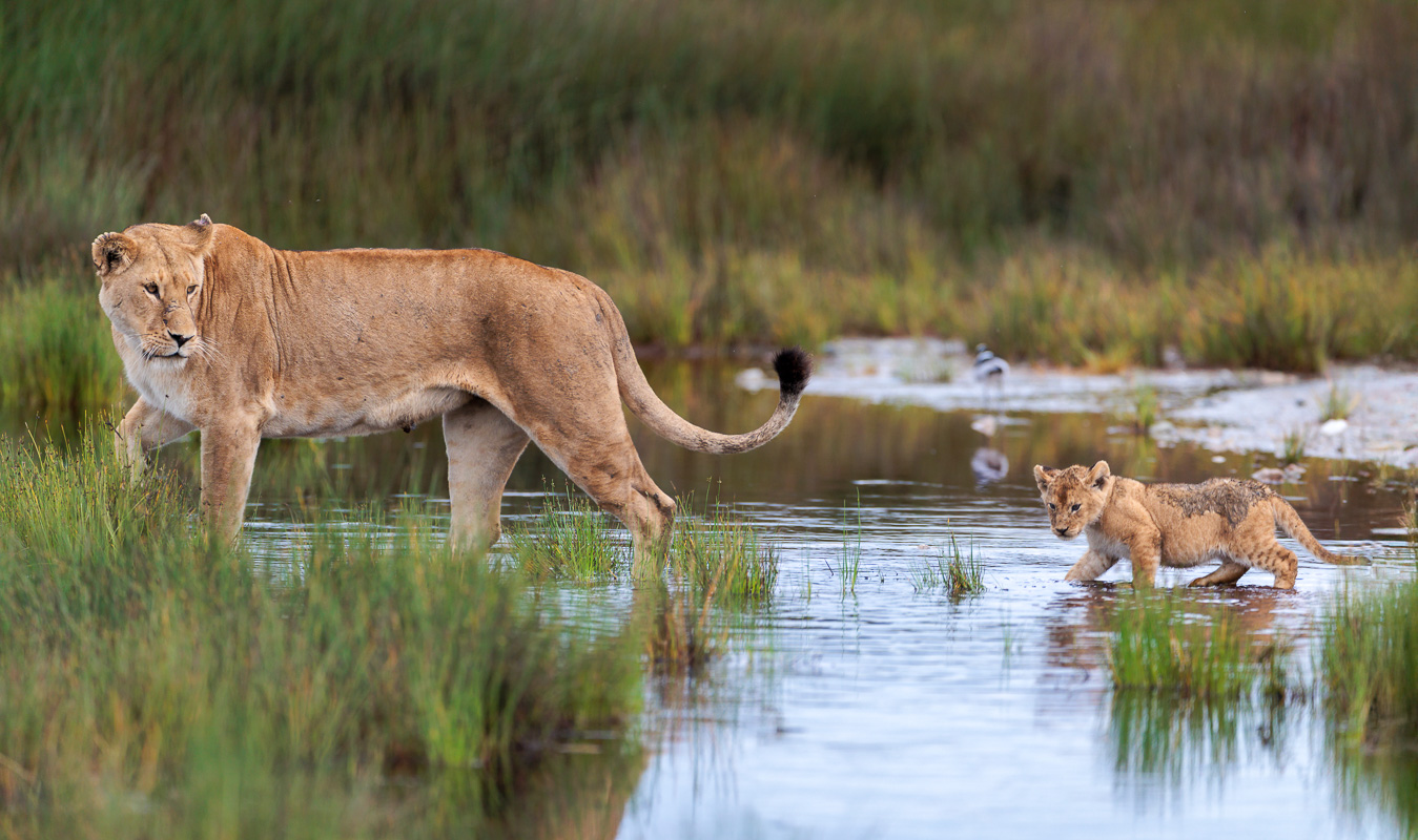 260311_1632_3800-Pano-Edit