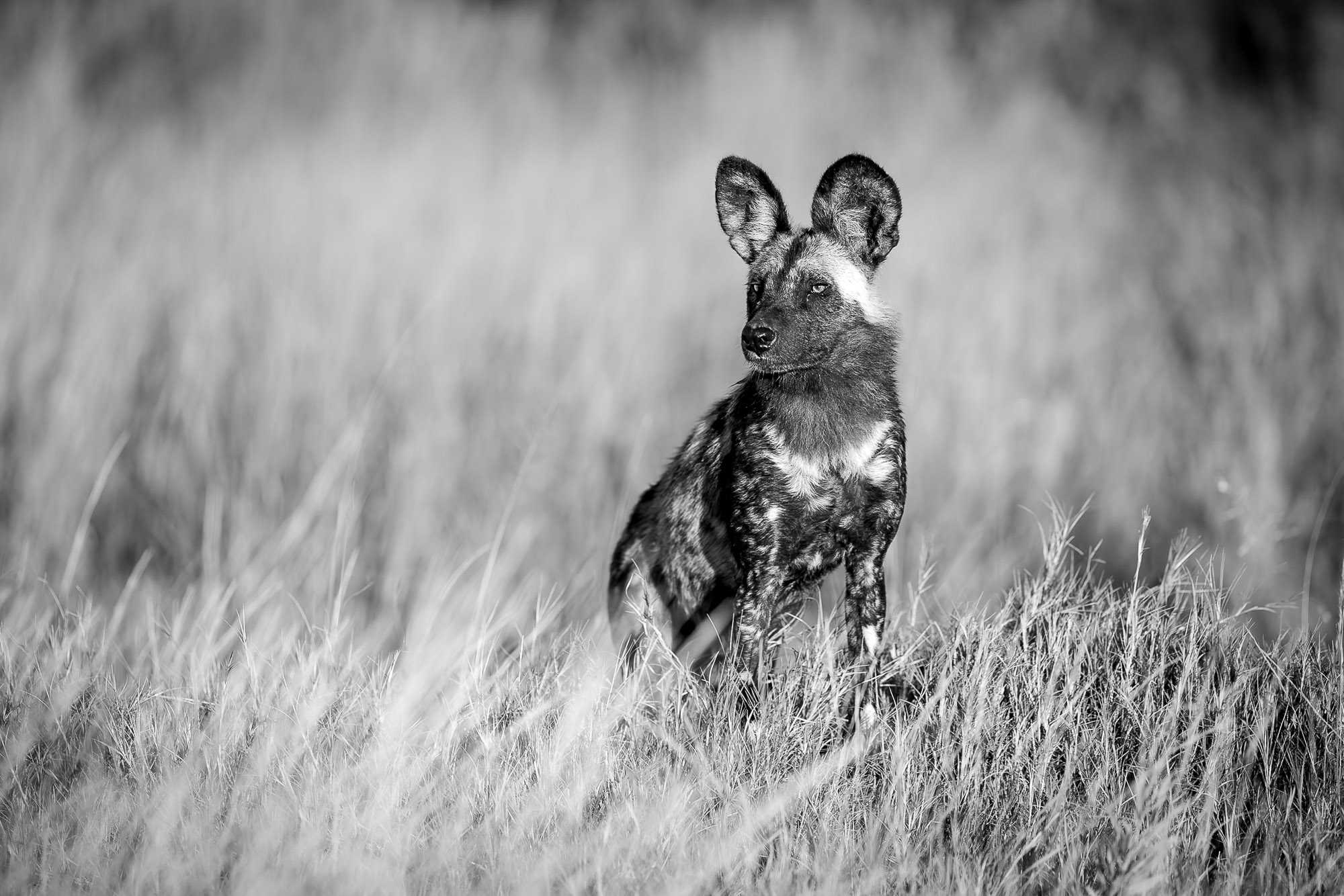 260506_0715_9513