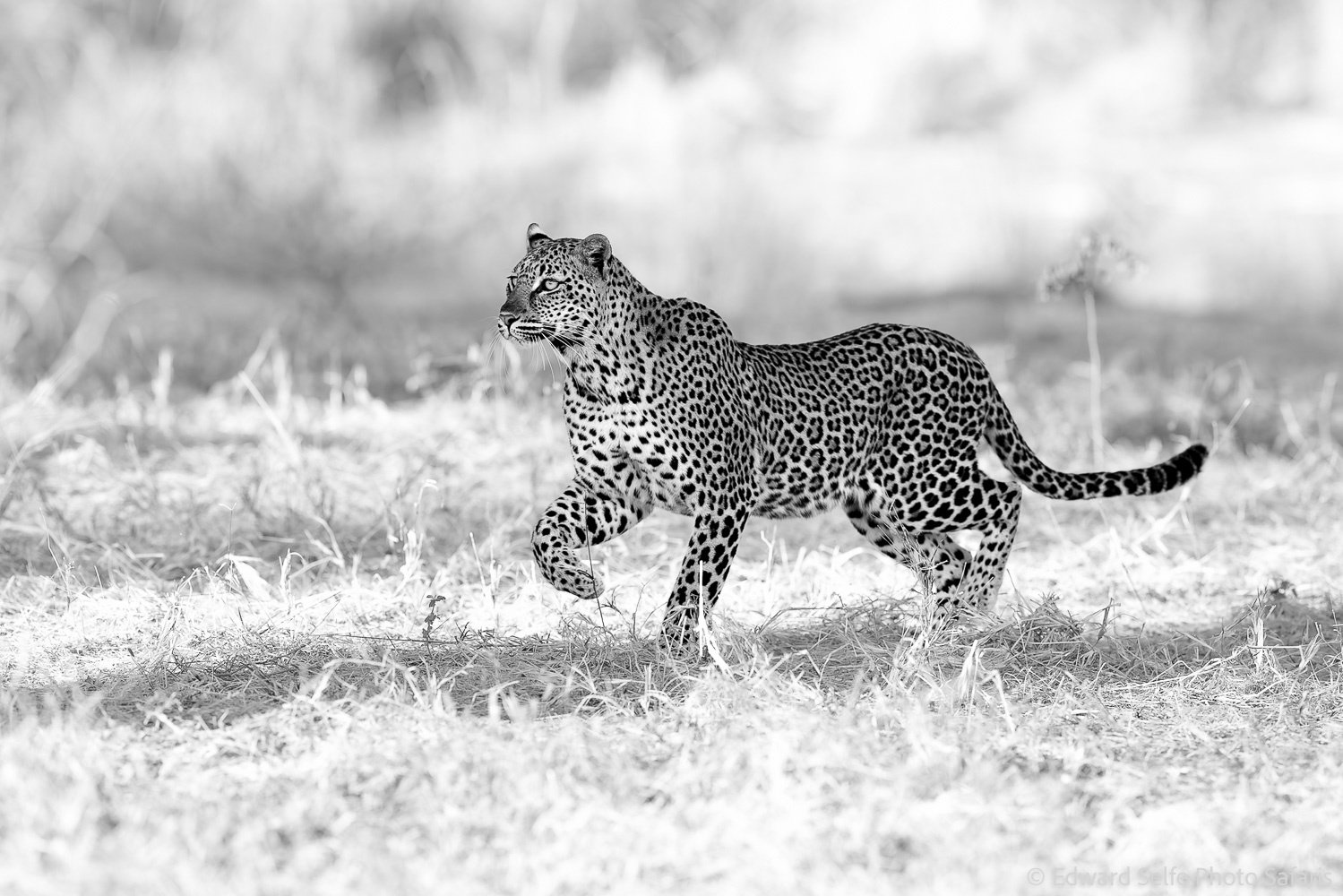 260527_1654_6434