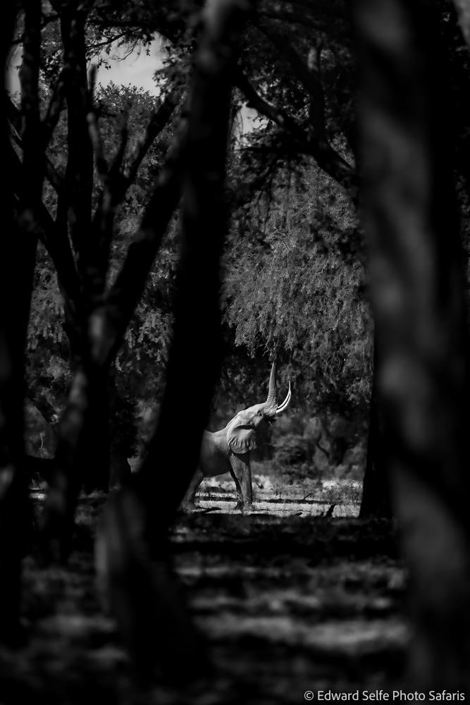 260528_1020_7687