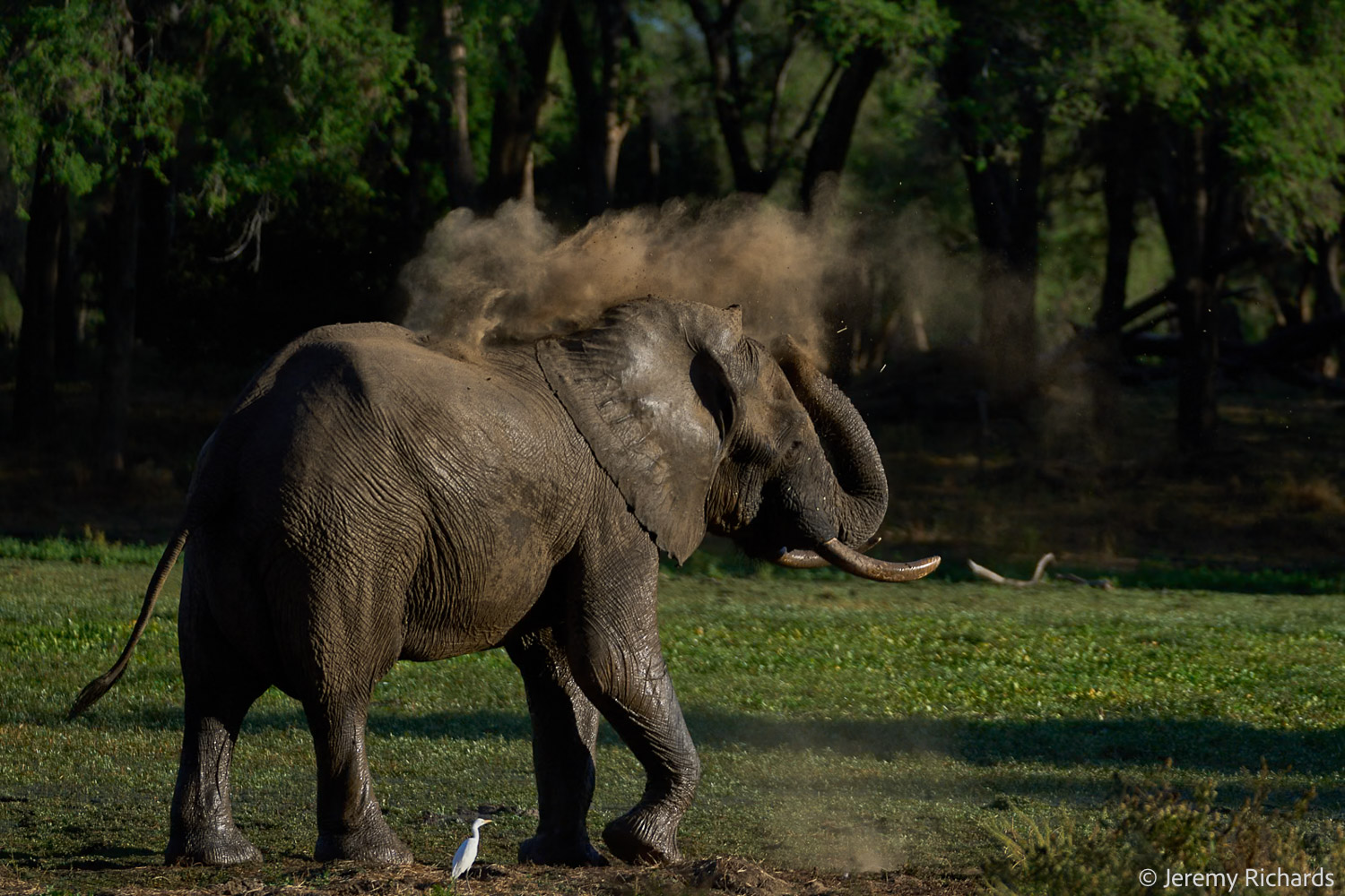 Zambia May 2026 – 003 Jeremy Richards