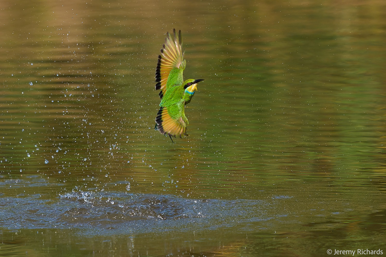 Zambia May 2026 – 011 Jeremy Richards