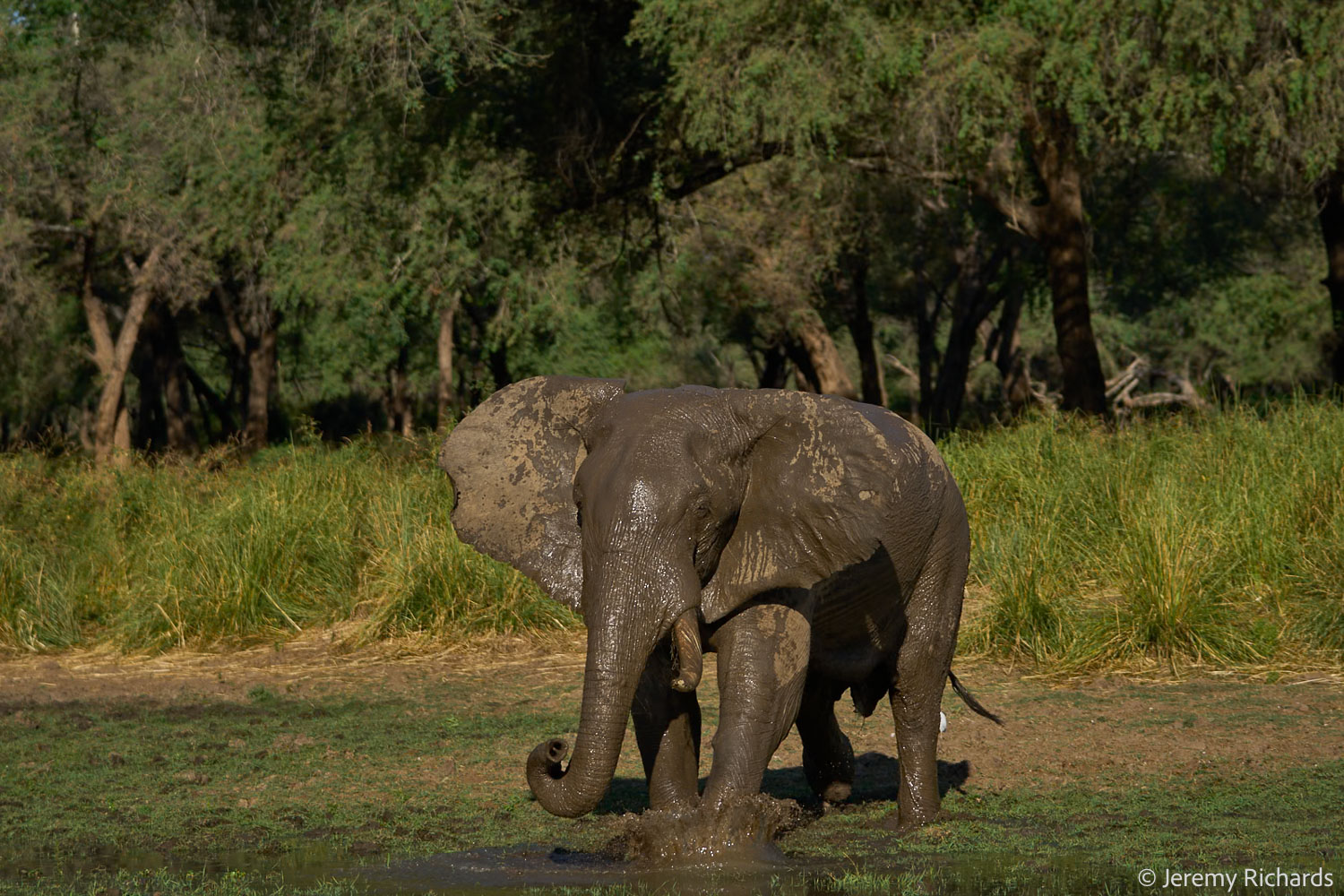 Zambia May 2026 – 012 Jeremy Richards
