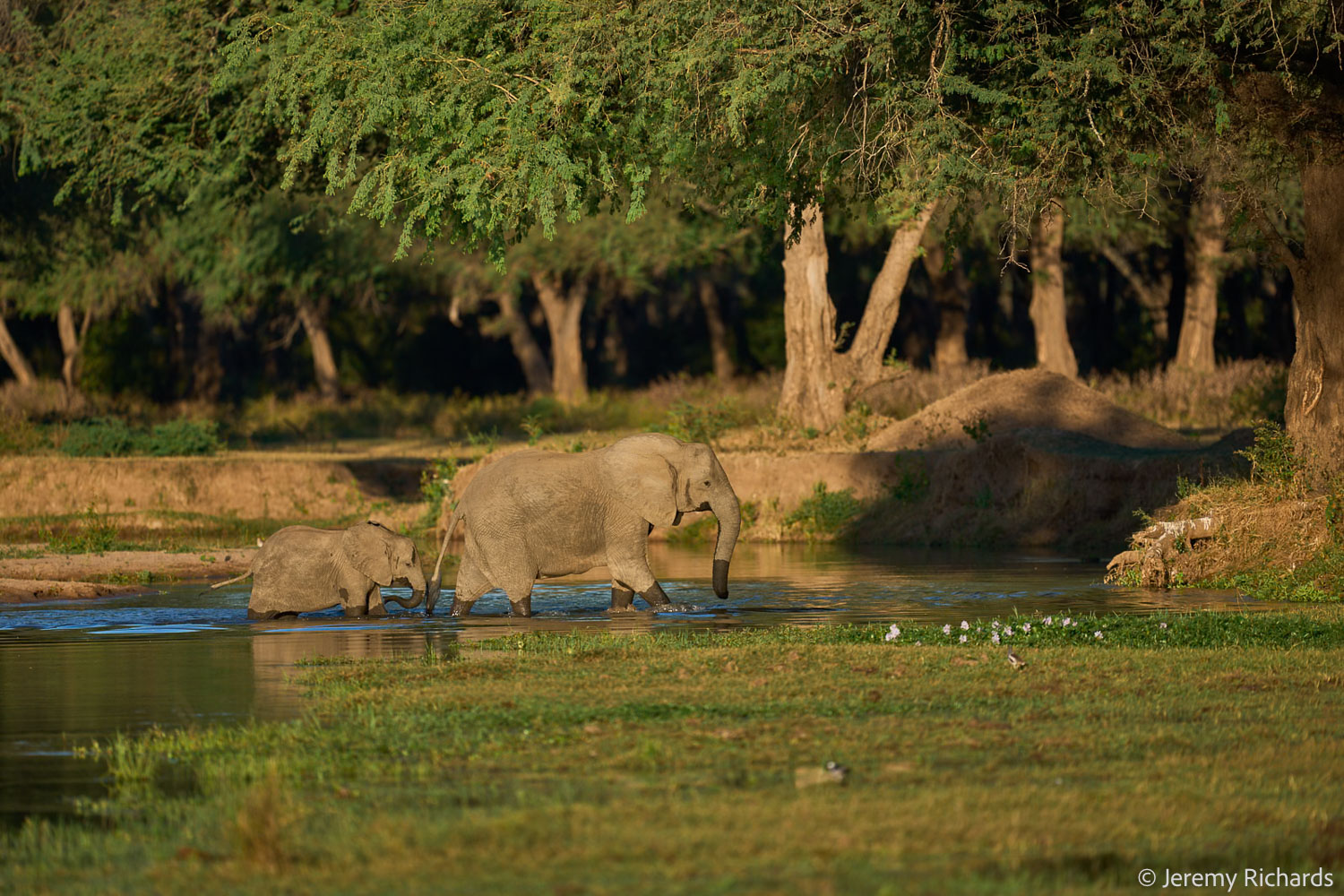Zambia May 2026 – 013 Jeremy Richards