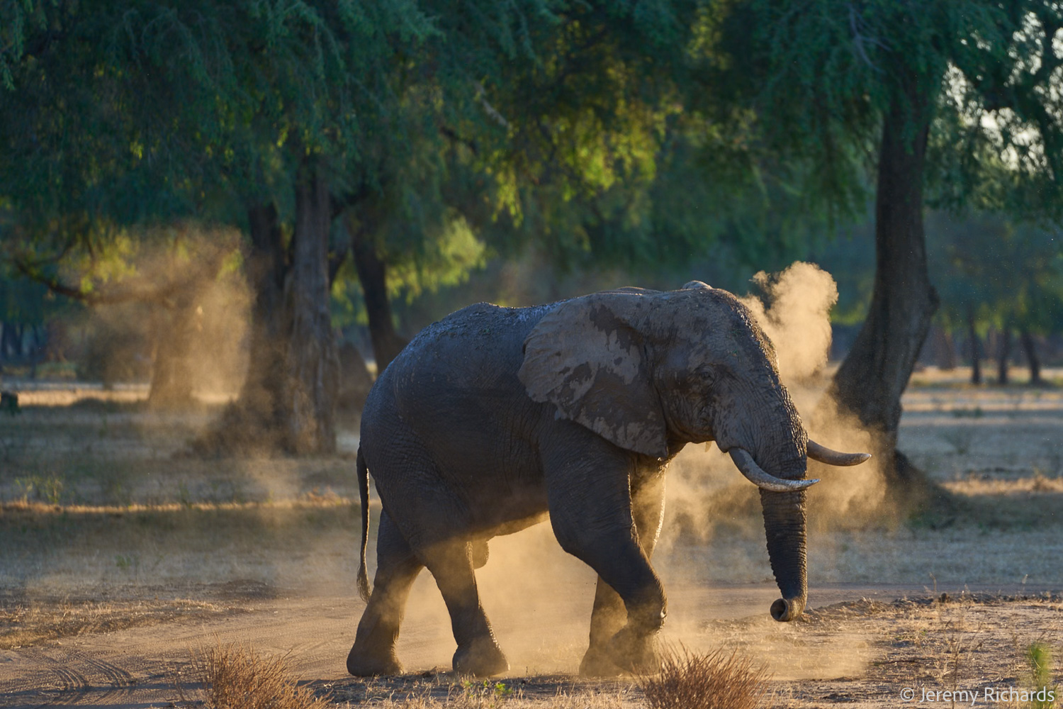 Zambia May 2026 – 014 Jeremy Richards