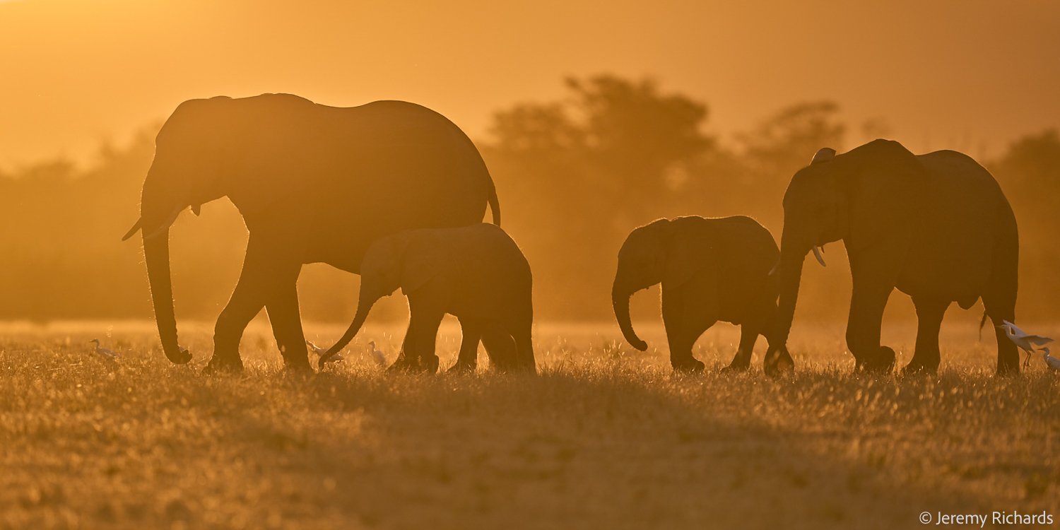 Zambia May 2026 – 015 Jeremy Richards