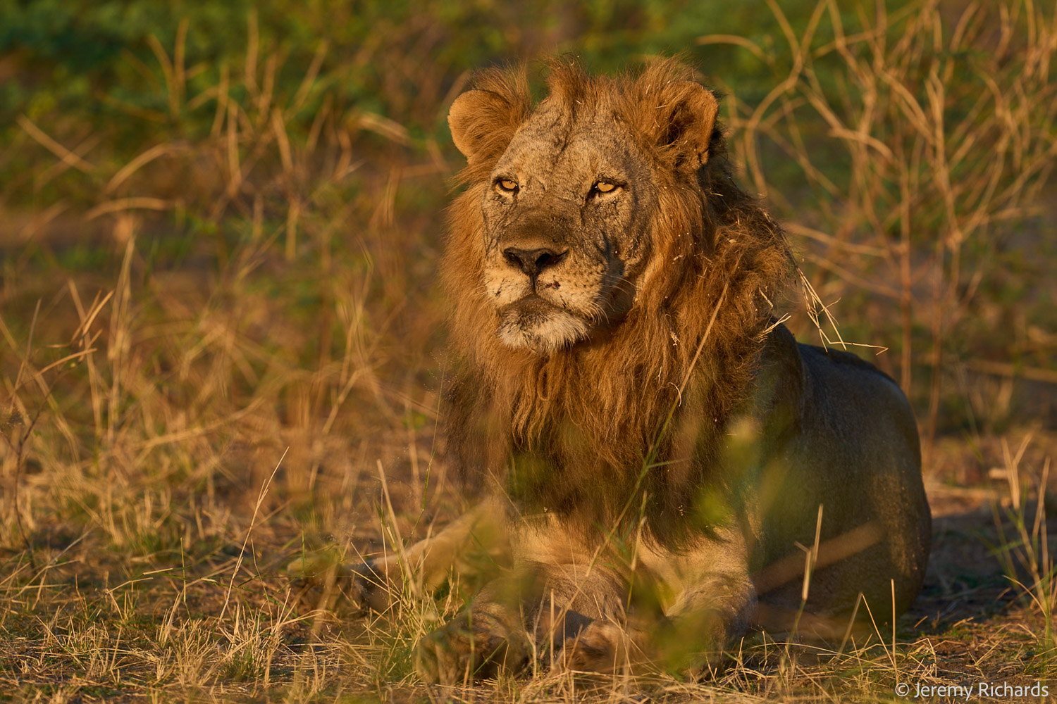 Zambia May 2026 – 020 Jeremy Richards