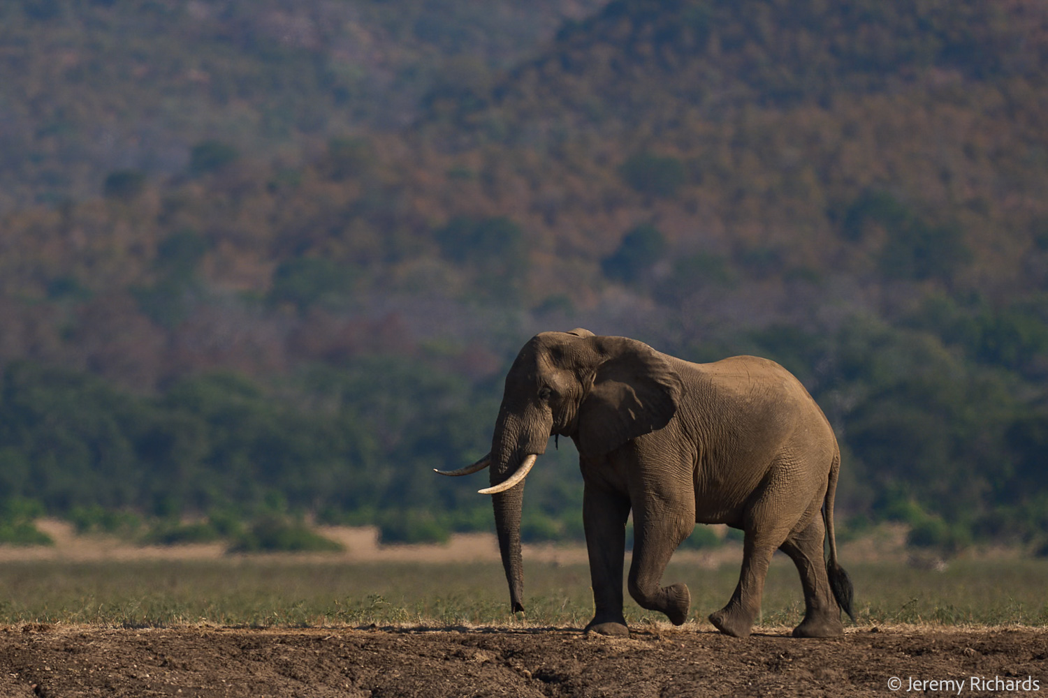 Zambia May 2026 – 031 Jeremy Richards