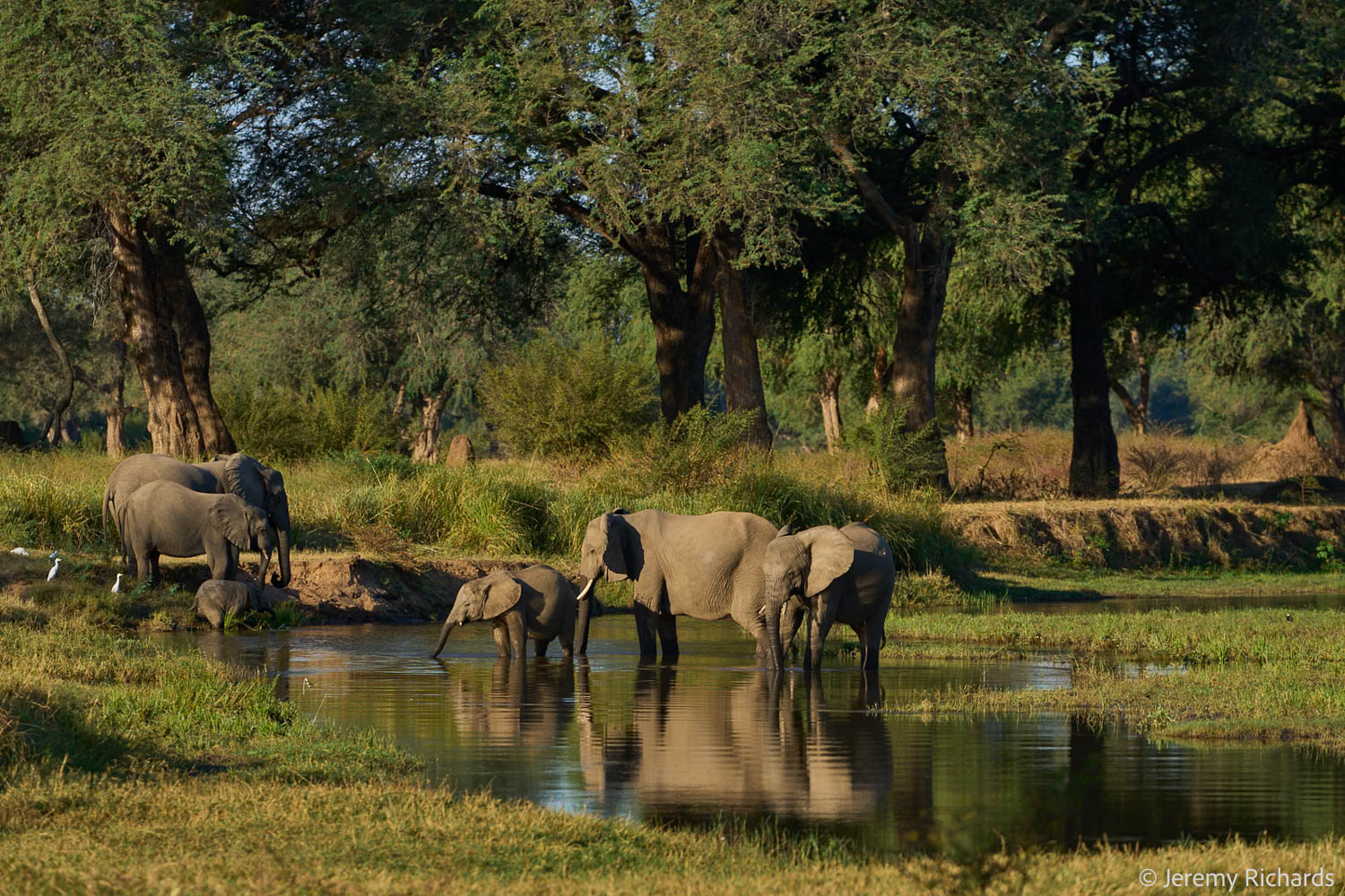 Zambia May 2026 – 046 Jeremy Richards