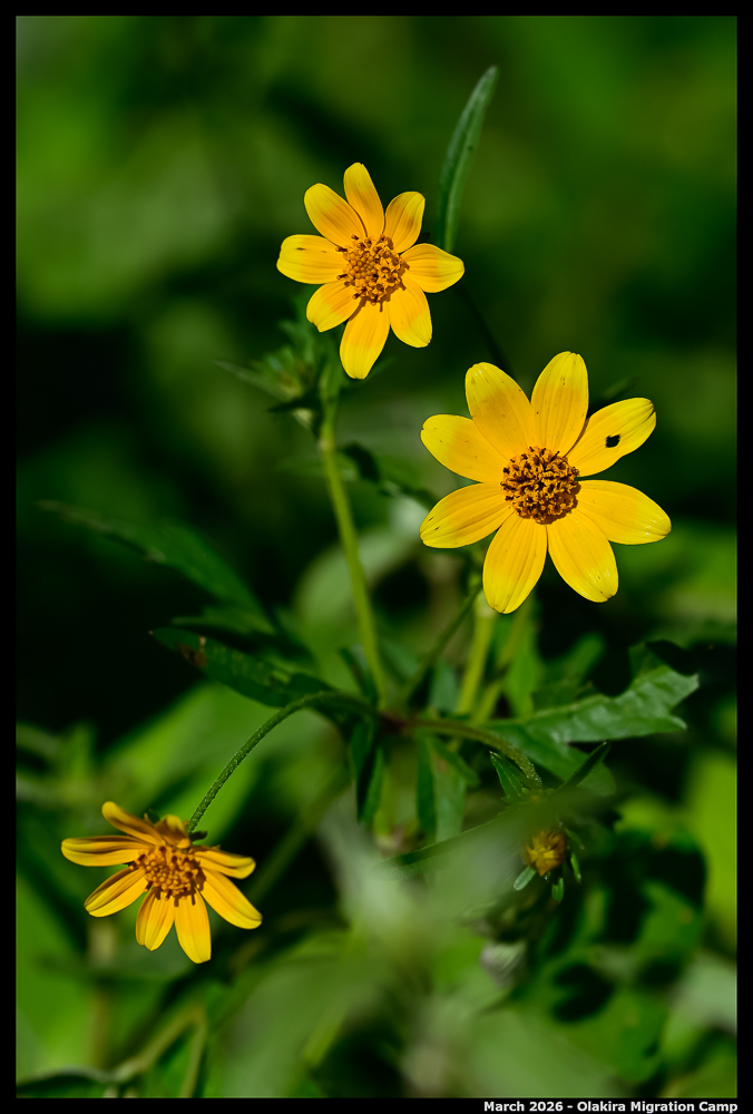 _Z8B0257_Ute_2400px