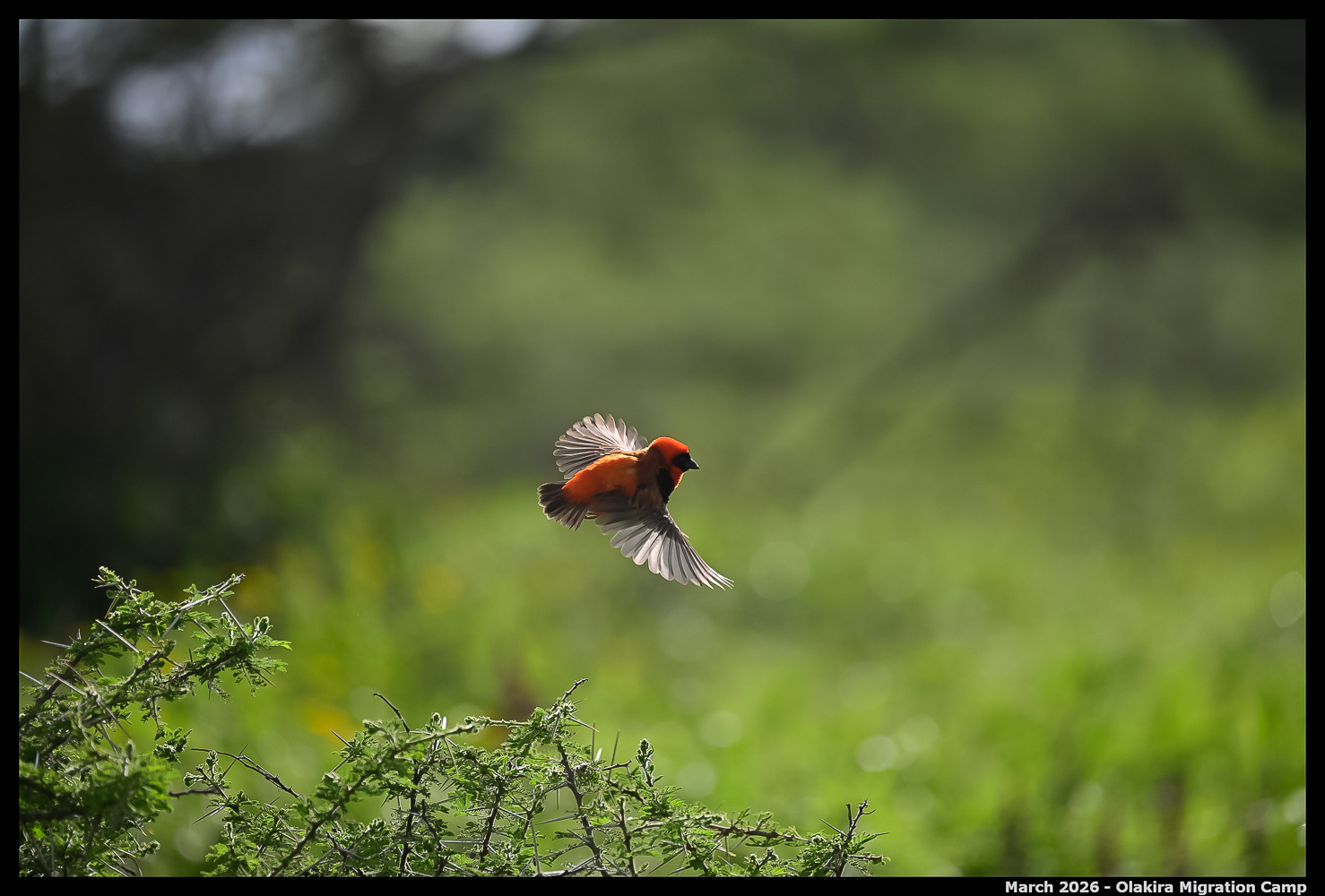 _Z8B0258_Ute_2400px