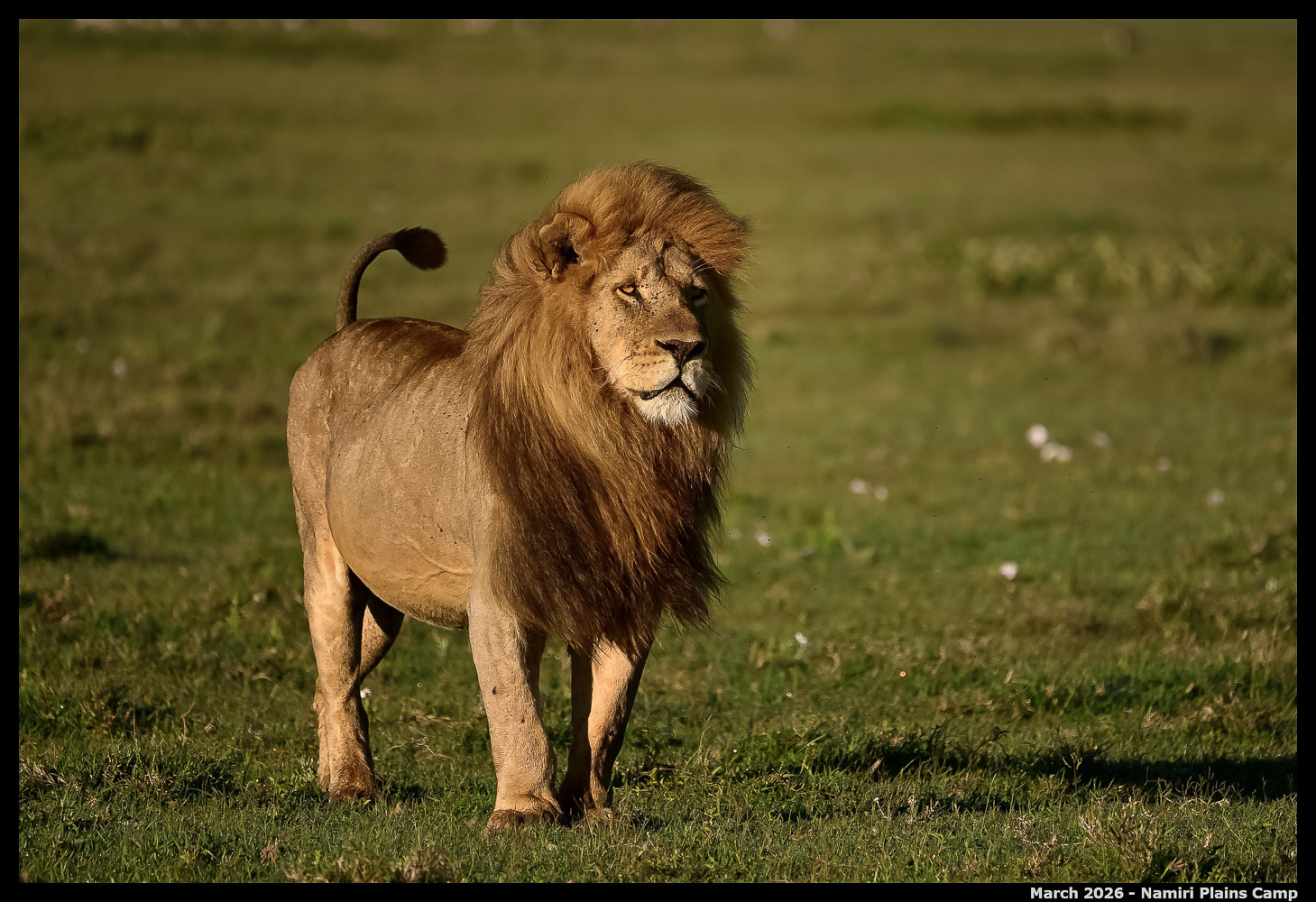 _Z8B0518_00001_Ute_2400px