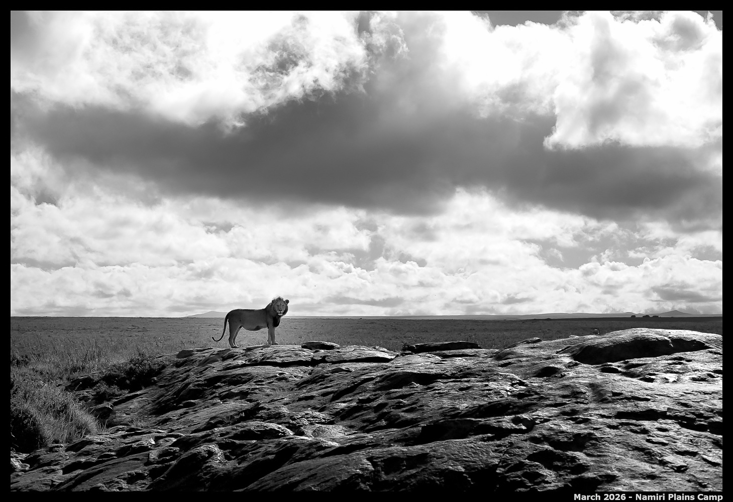 _Z8B0644_00001_02_Ute_2400px