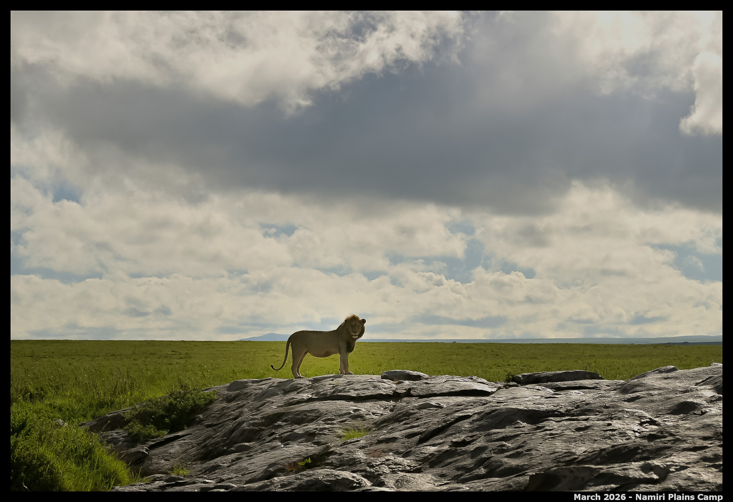 _Z8B0644_00001_Ute_2400px