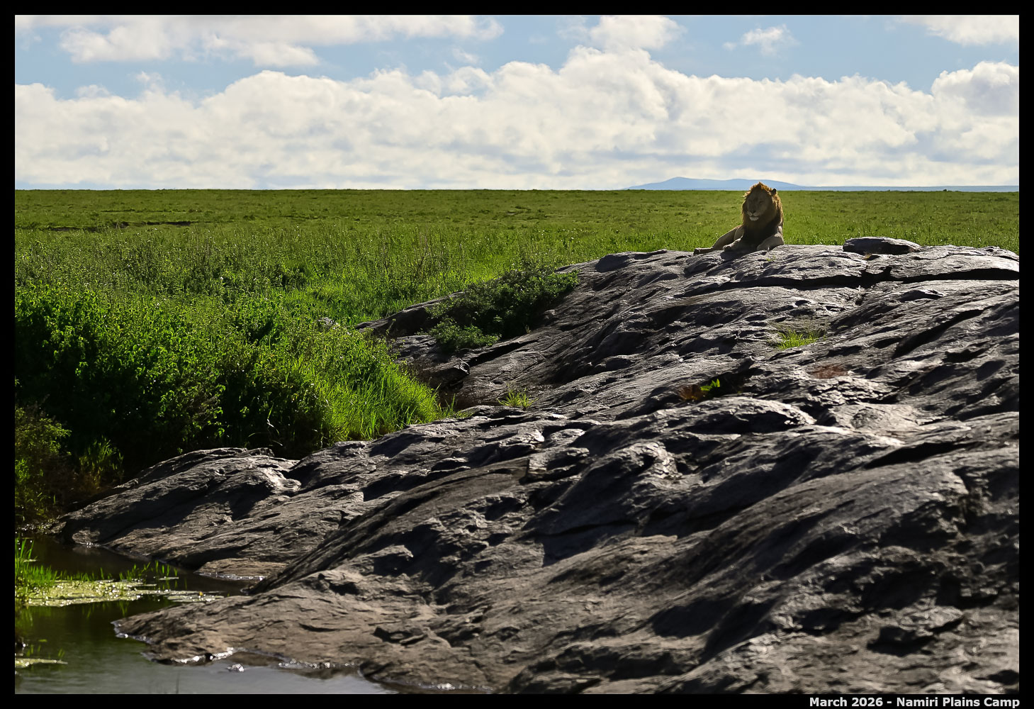 _Z8B0656_00001_Ute_2400px