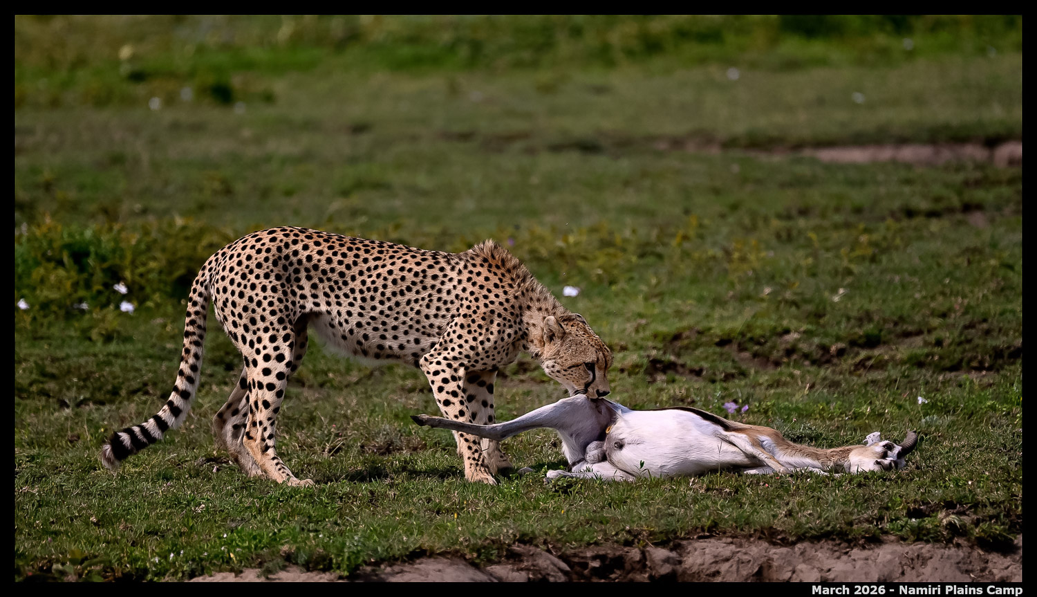 _Z8B0746_00001_01_Ute_2400px