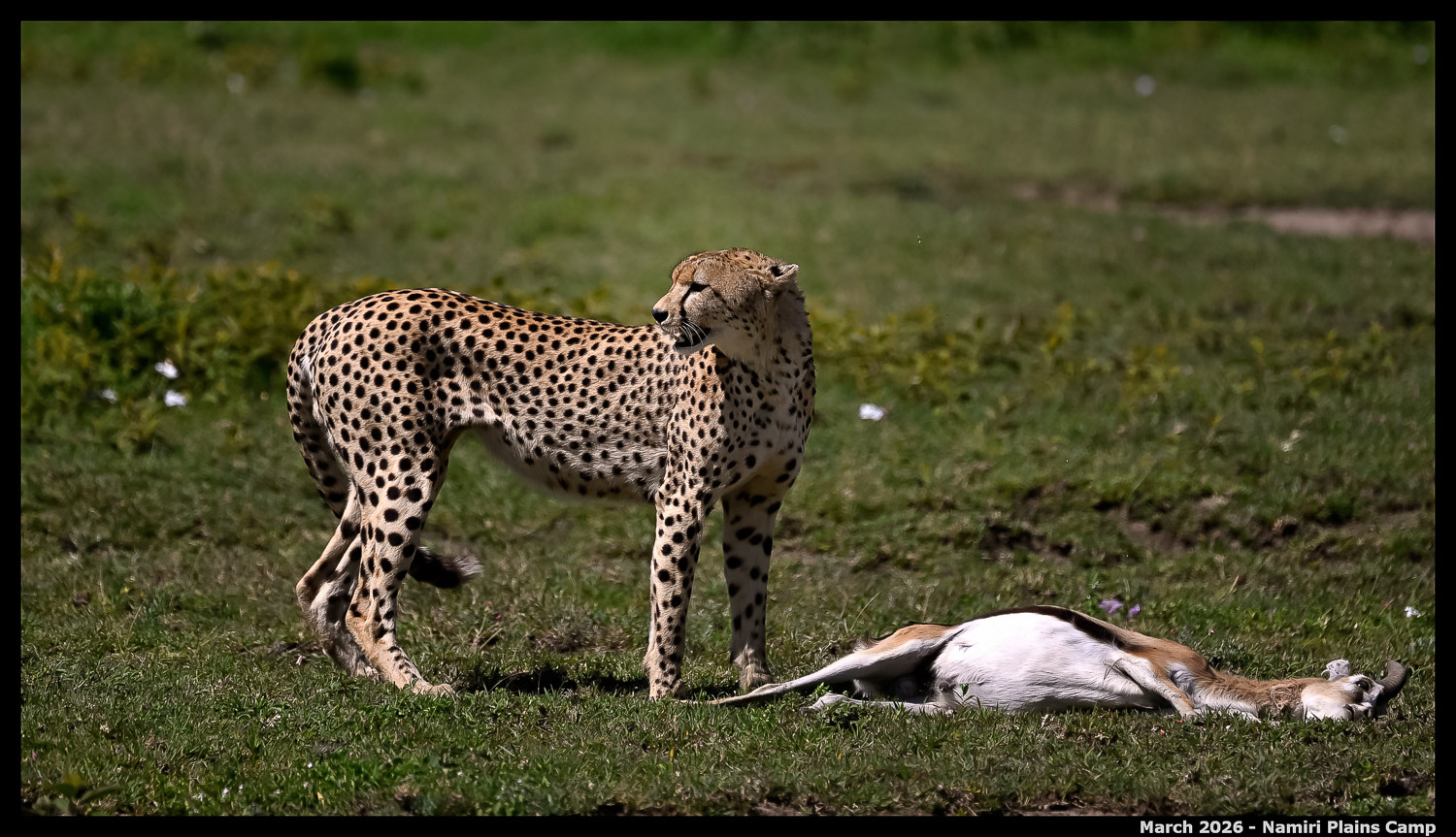 _Z8B0749_00001_Ute_2400px
