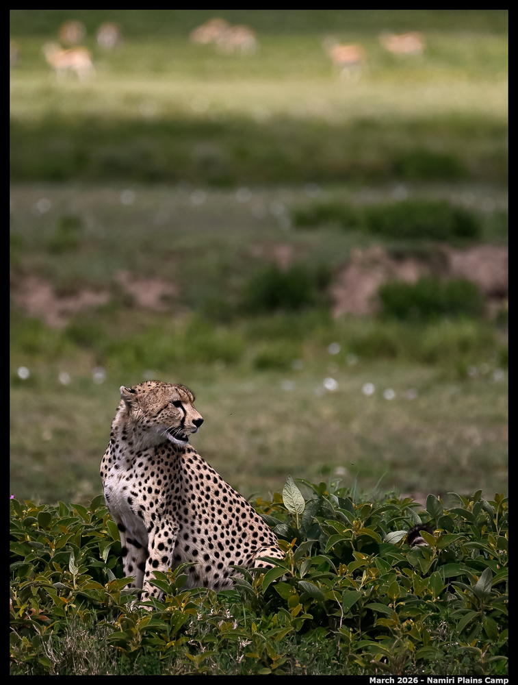 _Z8B0784_00001_Ute_2400px