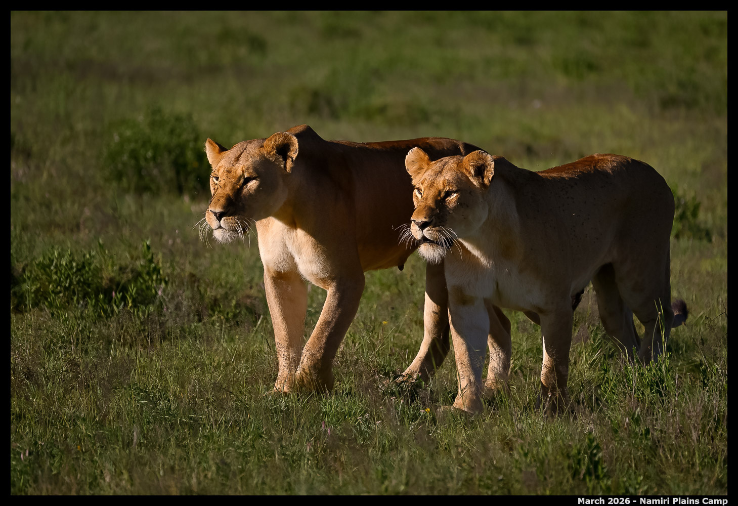 _Z8B0855_00001_Ute_2400px