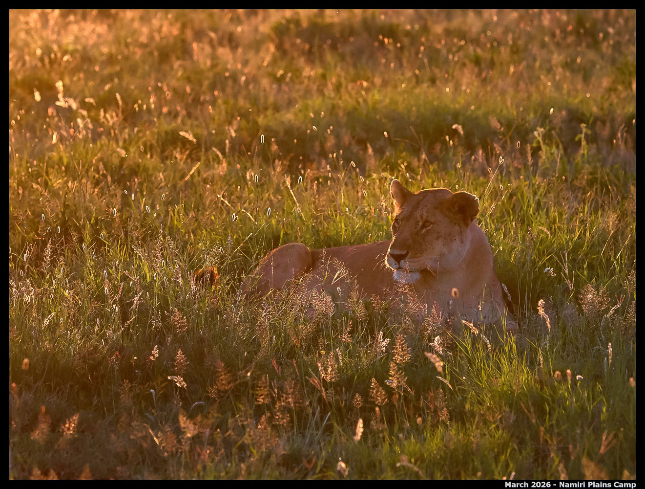 _Z8B0956_00001_Ute_2400px