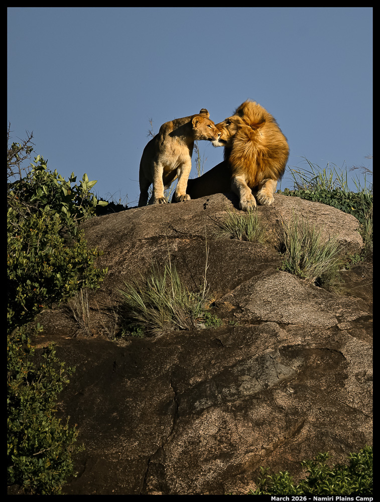 _Z8B1037_00001_Ute_2400px