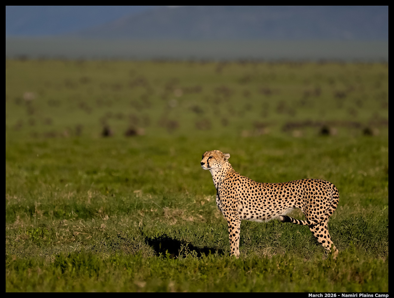 _Z8B1493_00001_Ute_2400px