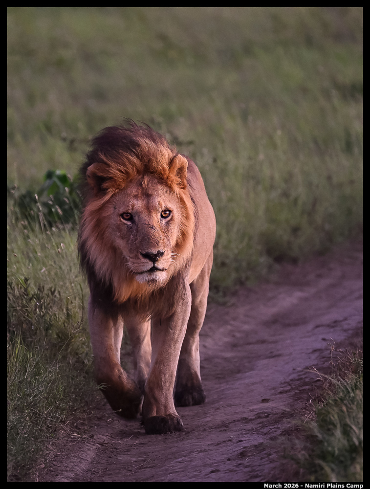 _Z8B1625_00001_Ute_2400px