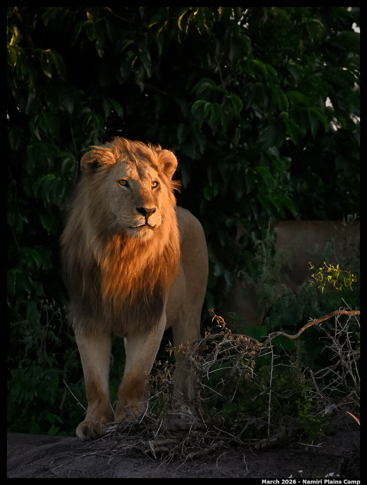 _Z8B1857_00001_Ute_2400px