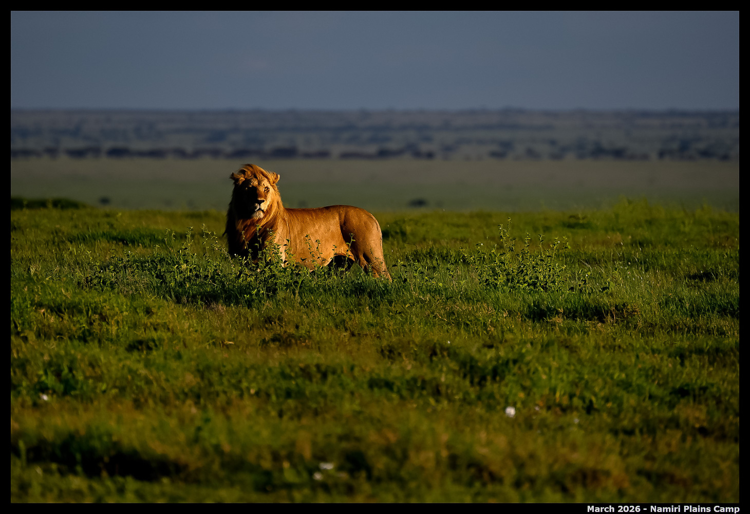_Z8B2070_00001_Ute_2400px