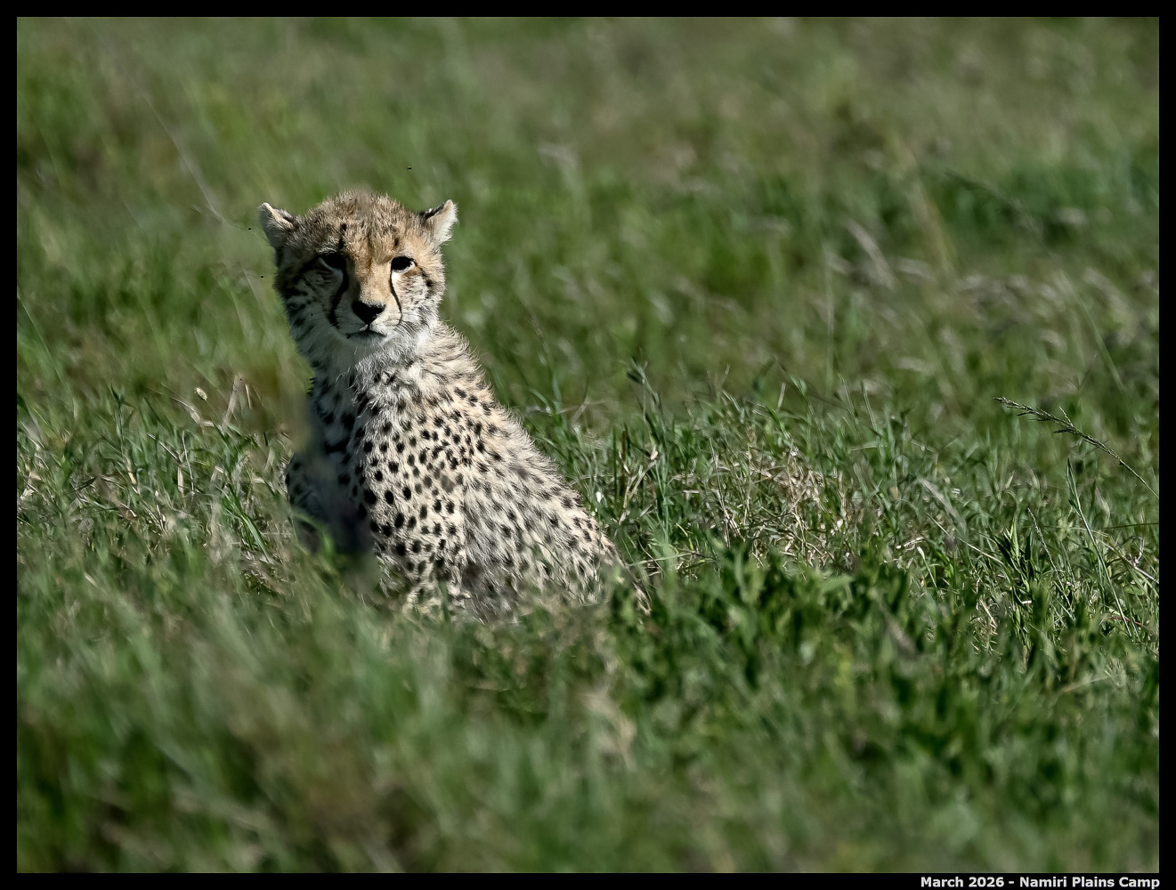 _Z8B2279_00001_01_Ute_2400px